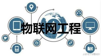 網(wǎng)絡工程與物聯(lián)網(wǎng)工程 高考志愿填報的關鍵區(qū)別